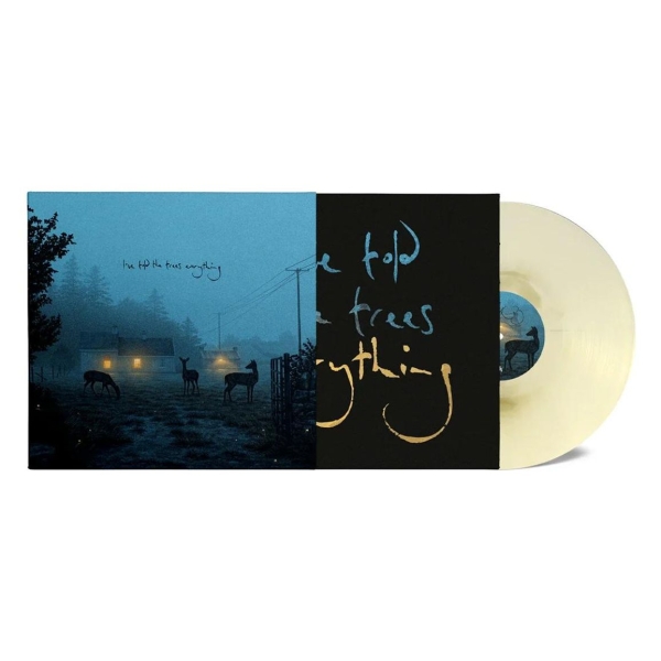 Dermot Kennedy - I've Told The Trees Everything i gruppen VINYL / Pop-Rock hos Bengans Skivbutik AB (5695611)