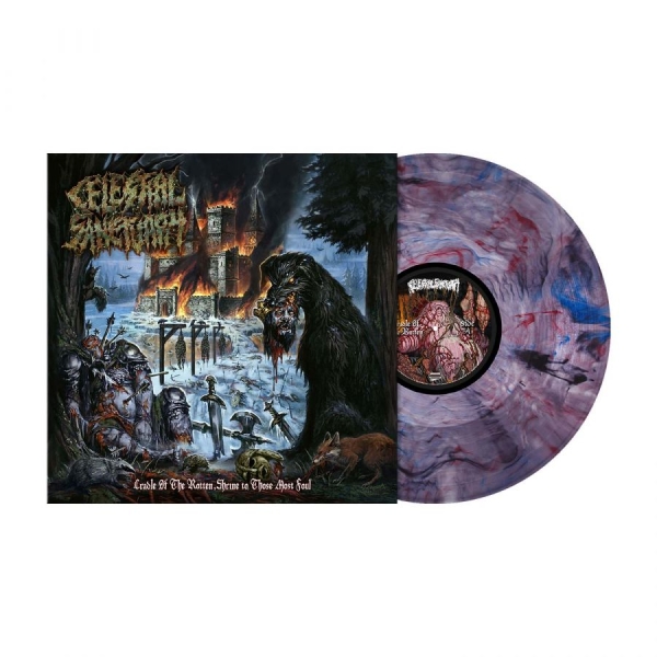 Celestial Sanctuary - Cradle Of The Rotten, Shrine To Tho i gruppen VINYL / Kommande / Hårdrock hos Bengans Skivbutik AB (5696123)