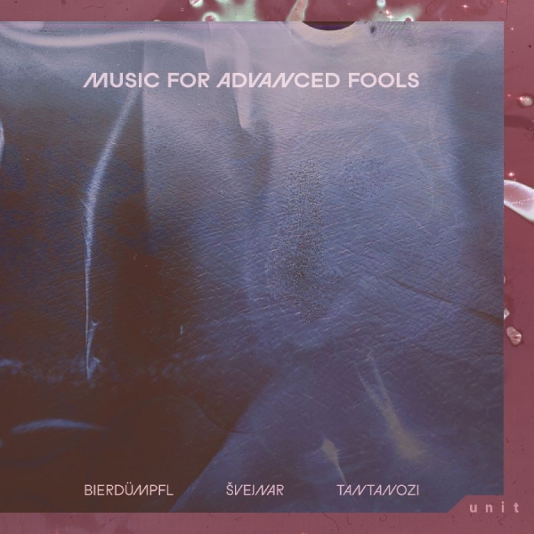Bierdu?Mpfl / S?Vejnar / Tantanozi - Music For Advanced Fools i gruppen VINYL / Kommande / Jazz hos Bengans Skivbutik AB (5696364)