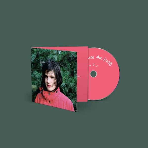 Adrianne Lenker - Hours Were The Birds i gruppen CD / Kommande / Pop-Rock hos Bengans Skivbutik AB (5696730)