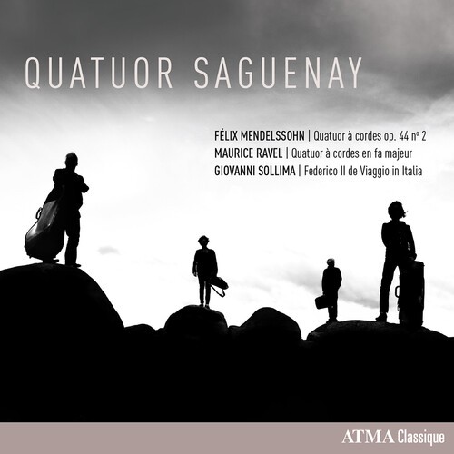 Quatuor Saguenay - String Quartets i gruppen CD / Toppsäljare hos Bengans Skivbutik AB (5696888)