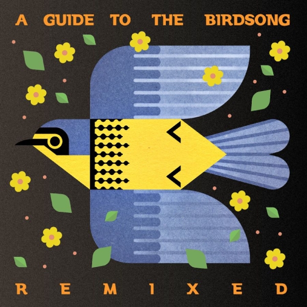 Various Artists - A Guide To The Birdsong Remixed i gruppen CD / Mest förbokade hos Bengans Skivbutik AB (5697668)