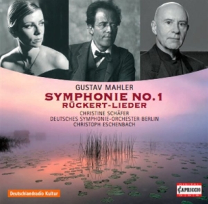 Mahler - Symphony No 1 i gruppen Externt_Lager / Naxoslager hos Bengans Skivbutik AB (570448)