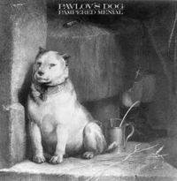 Pavlov's Dog - Pampered Menial i gruppen CD / Pop-Rock hos Bengans Skivbutik AB (570756)