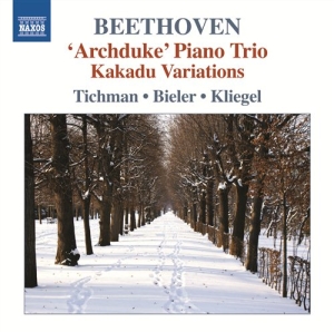 Beethoven - Trios Vol 5 i gruppen Externt_Lager / Naxoslager hos Bengans Skivbutik AB (571060)