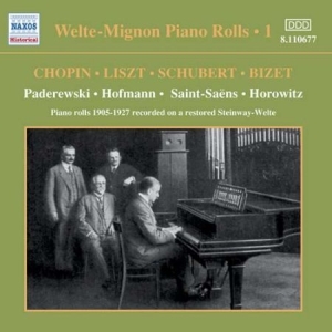 Blandade Artister - Welte-Mignon Vol 1 i gruppen CD / Klassiskt hos Bengans Skivbutik AB (572953)