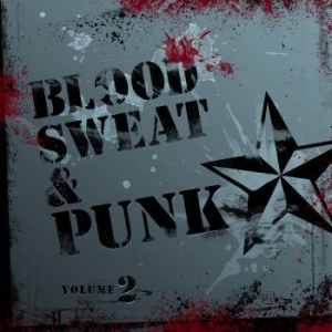 Blandade Artister - Blood, Sweat And Punk Volume 2 i gruppen CD / Rock hos Bengans Skivbutik AB (573880)