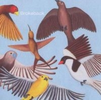 Brokeback - Looks At The Bird i gruppen CD / Pop-Rock hos Bengans Skivbutik AB (580297)