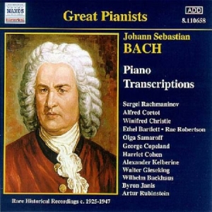 Bach Johann Sebastian - Piano Transcriptions i gruppen CD / Klassiskt hos Bengans Skivbutik AB (580726)