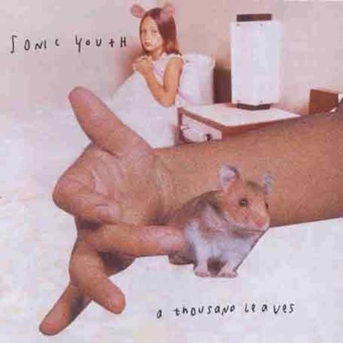 Sonic Youth - Thousand Leaves i gruppen CD / Pop hos Bengans Skivbutik AB (581004)