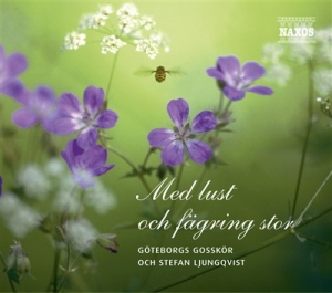 Göteborgs Gosskör - Med Lust Och Fägring Stor i gruppen CD / Övrigt hos Bengans Skivbutik AB (581241)