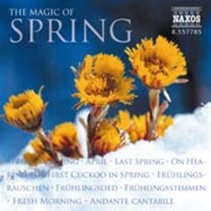 Various - S Spring-Seasons (Magic O i gruppen VI TIPSAR / Lagerrea / CD REA / CD Klassisk hos Bengans Skivbutik AB (581440)