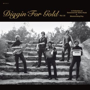 Blandade Artister - Diggin' For Gold Vol. 12 i gruppen VINYL / Pop-Rock hos Bengans Skivbutik AB (589775)