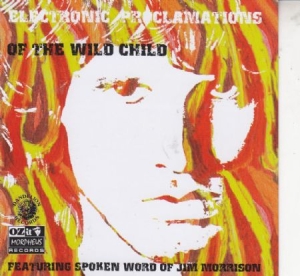 Jim Morrison - Electronic Proclamations Of The Wild Child i gruppen CD / Pop hos Bengans Skivbutik AB (592533)