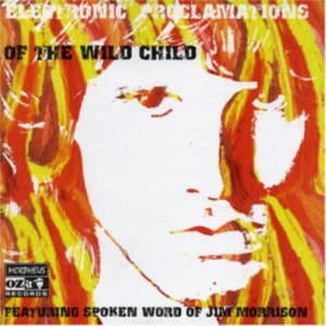 Jim Morrison - Electronic Proclamations Of The Wild Chi i gruppen CD / Pop-Rock hos Bengans Skivbutik AB (592533)