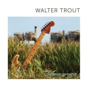 Trout Walter - Common Ground i gruppen CD / Rock hos Bengans Skivbutik AB (596529)