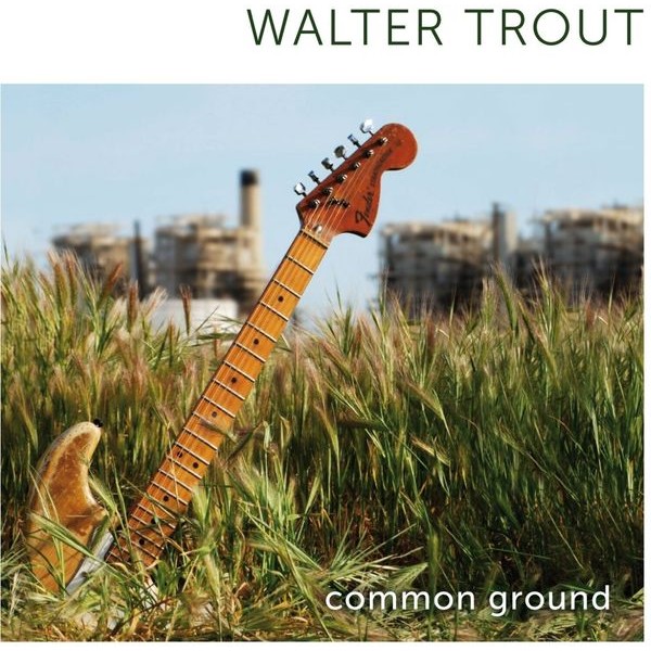 Walter Trout - Common Ground i gruppen CD / Jazz/Blues hos Bengans Skivbutik AB (596529)