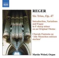 Reger Max - Organ Works Vol 6 i gruppen Externt_Lager / Naxoslager hos Bengans Skivbutik AB (598572)