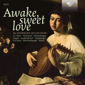 Blandade Artister - Awake Sweet Love i gruppen CD / Klassiskt hos Bengans Skivbutik AB (601630)