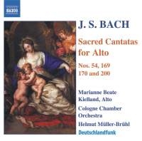 Bach - Alto Cantatas i gruppen Externt_Lager / Naxoslager hos Bengans Skivbutik AB (603063)