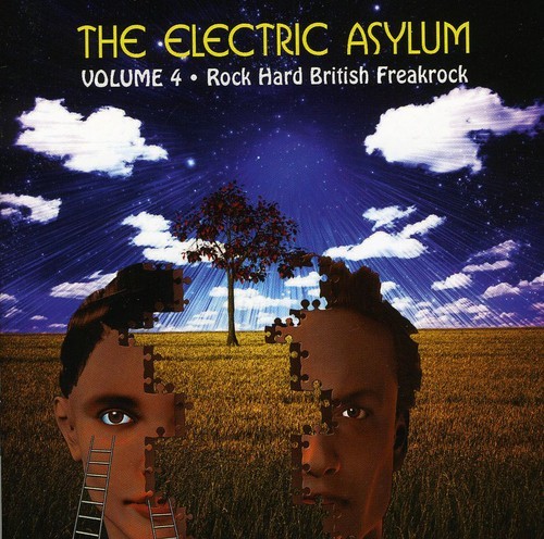 Blandade Artister - Electric Asylum Vol 4 i gruppen CD / Rock hos Bengans Skivbutik AB (603424)