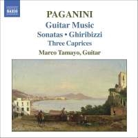 Paganini - Guitar Music i gruppen Externt_Lager / Naxoslager hos Bengans Skivbutik AB (607011)