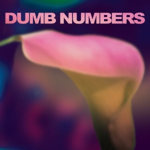 Dumb Numbers - Dumb Numbers i gruppen VI TIPSAR / Lagerrea / CD REA / CD POP hos Bengans Skivbutik AB (611564)