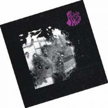 Purling Hiss - Water On Mars i gruppen CD / Toppsäljare hos Bengans Skivbutik AB (611715)