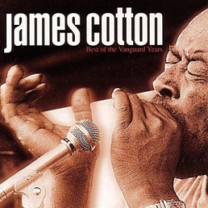 Cotton James - Best Of The Vanguard Years i gruppen CD / Blues,Jazz hos Bengans Skivbutik AB (616793)
