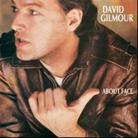 DAVID GILMOUR - ABOUT FACE i gruppen CD / Pop-Rock hos Bengans Skivbutik AB (618028)