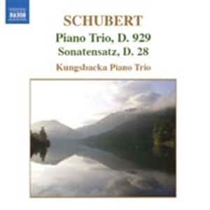 Schubert - Piano Trios i gruppen Externt_Lager / Naxoslager hos Bengans Skivbutik AB (621210)