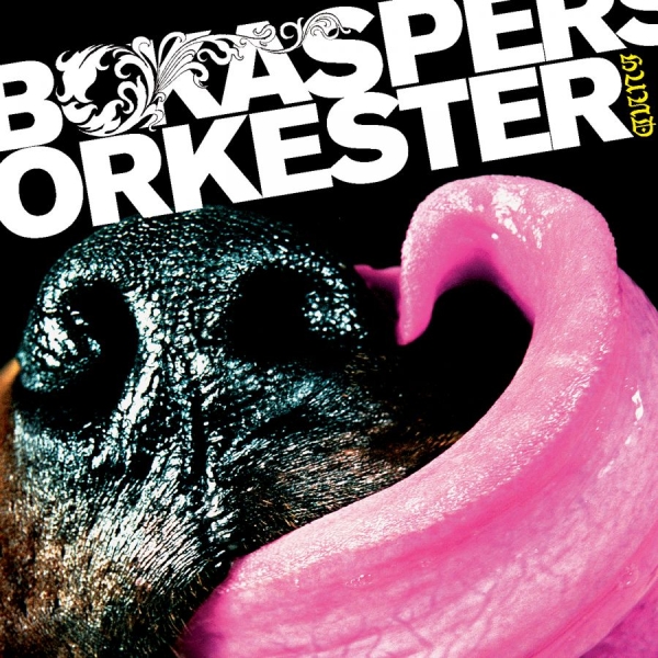 Bo Kaspers Orkester - Hund i gruppen CD / Pop hos Bengans Skivbutik AB (621489)