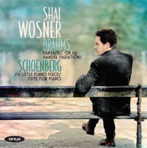 Schoenberg/Brahms - Piano Works i gruppen Externt_Lager / Naxoslager hos Bengans Skivbutik AB (622422)