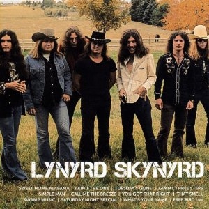 Lynyrd Skynyrd - Icon i gruppen CD / Pop hos Bengans Skivbutik AB (622752)