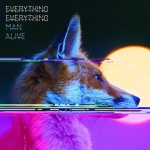 Everything Everything - Man Alive i gruppen CD / Pop-Rock hos Bengans Skivbutik AB (622839)