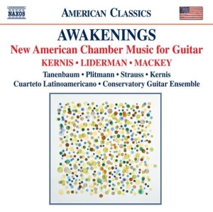 Various Composers - Awakenings - New American Chamber M i gruppen Externt_Lager / Naxoslager hos Bengans Skivbutik AB (623534)
