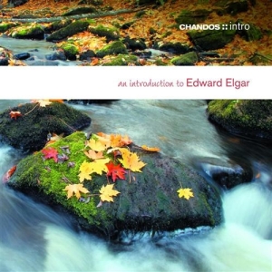 Elgar - An Introduction To i gruppen Externt_Lager / Naxoslager hos Bengans Skivbutik AB (624482)
