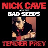 NICK CAVE & THE BAD SEEDS - TENDER PREY i gruppen CD / Pop-Rock hos Bengans Skivbutik AB (625934)