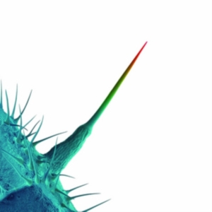 Blandade Artister - And I'll Scratch Yours (Songs By Pe i gruppen CD / Pop-Rock hos Bengans Skivbutik AB (626258)