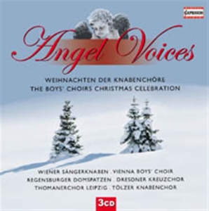 Angel Voices - The Boys Choirs Christmas i gruppen Externt_Lager / Naxoslager hos Bengans Skivbutik AB (627447)