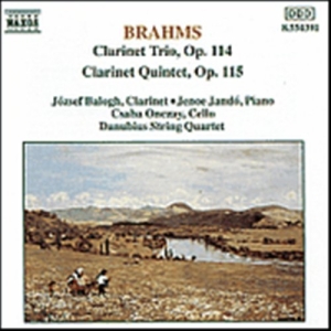 Brahms Johannes - Clarinett Trio & Quintet i gruppen Externt_Lager / Naxoslager hos Bengans Skivbutik AB (628929)