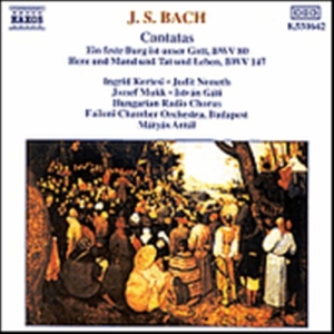 Bach Johann Sebastian - Cantatas i gruppen Externt_Lager / Naxoslager hos Bengans Skivbutik AB (629214)