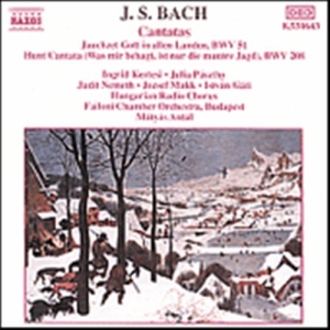 Bach Johann Sebastian - Cantatas i gruppen Externt_Lager / Naxoslager hos Bengans Skivbutik AB (629369)