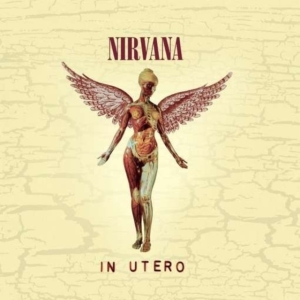 NIRVANA - IN UTERO - 20TH ANNIVERSARY i gruppen ÖVRIGT / -Start Uni-CD hos Bengans Skivbutik AB (629828)