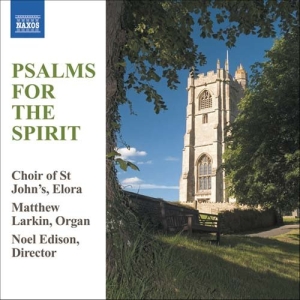 Various - Psalms For The Spirit i gruppen Externt_Lager / Naxoslager hos Bengans Skivbutik AB (629931)