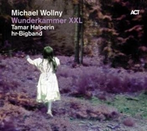 Michael Wollny - Wunderkammer Xxl i gruppen CD / Jazz/Blues hos Bengans Skivbutik AB (629974)