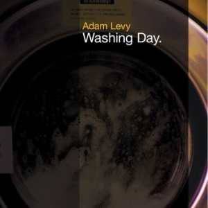Levy Adam - Washing Day i gruppen CD / Pop-Rock hos Bengans Skivbutik AB (630933)