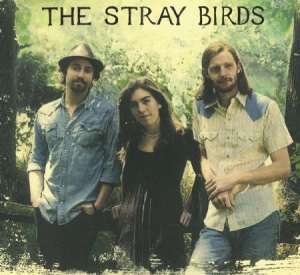 Stray Birds - Stray Birds i gruppen CD / Country hos Bengans Skivbutik AB (630934)