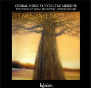 Miskinis - Time Is Endless i gruppen Externt_Lager / Naxoslager hos Bengans Skivbutik AB (630953)