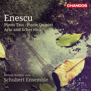 Enescu - Piano Trio i gruppen Externt_Lager / Naxoslager hos Bengans Skivbutik AB (631713)